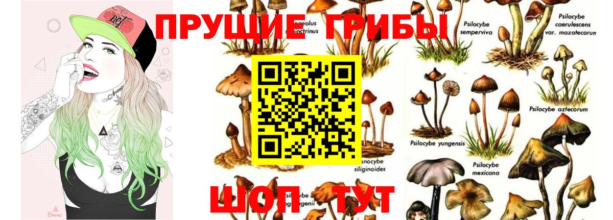Галлюциногенные грибы Magic Shrooms Среднеуральск