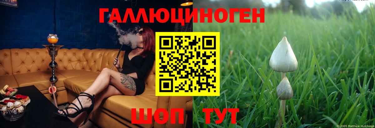 Галлюциногенные грибы мицелий  Вход с VPN  Среднеуральск 